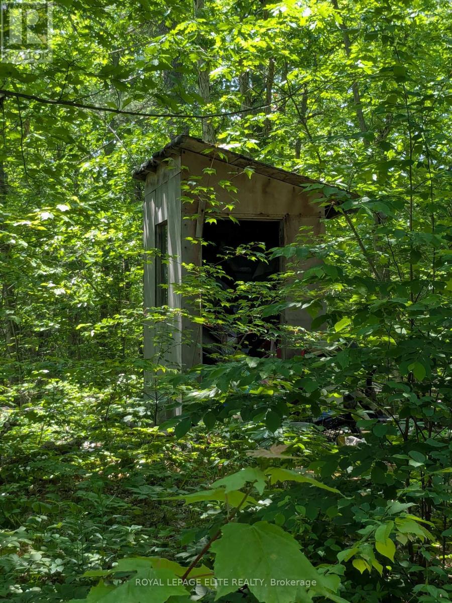 559 Honey Harbour Road, Georgian Bay, Ontario  L0K 1S0 - Photo 3 - X12224228