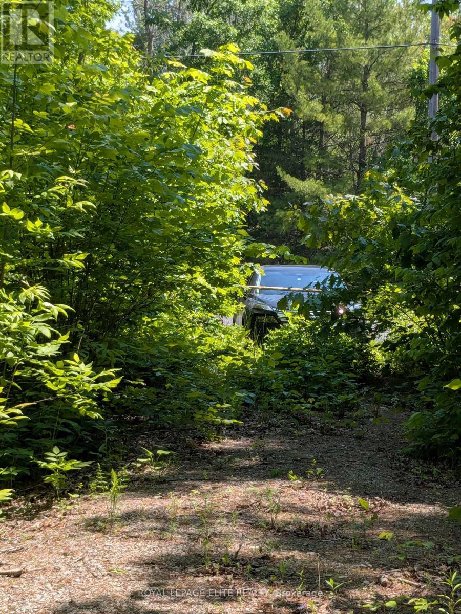 559 Honey Harbour Road, Georgian Bay, Ontario  L0K 1S0 - Photo 4 - X12224228