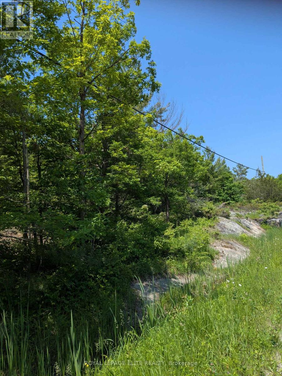 559 Honey Harbour Road, Georgian Bay, Ontario  L0K 1S0 - Photo 6 - X12224228