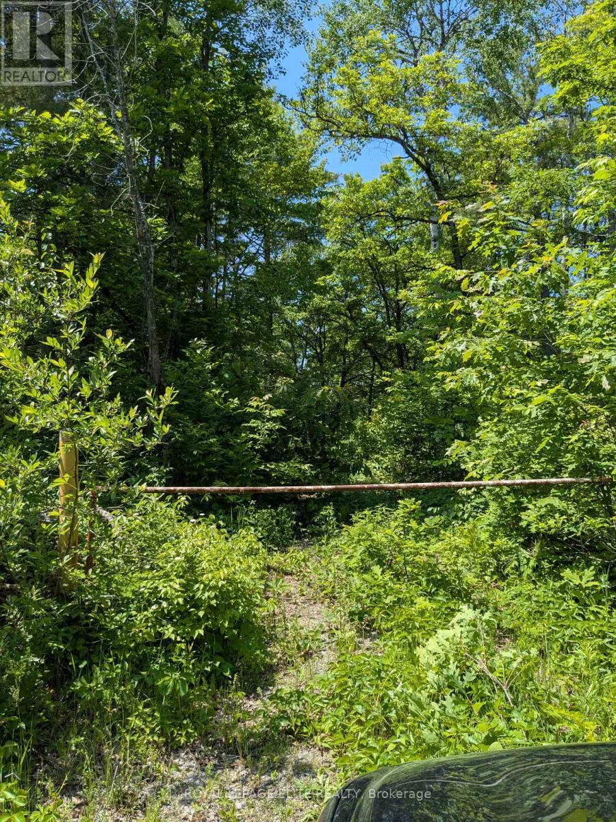 559 Honey Harbour Road, Georgian Bay, Ontario  L0K 1S0 - Photo 7 - X12224228