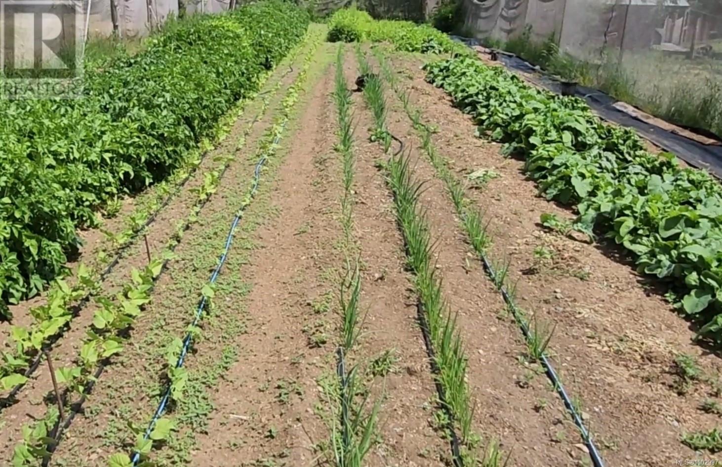 1075 Spider Lake Rd, Qualicum Beach, British Columbia  V9K 2L7 - Photo 11 - 1002997