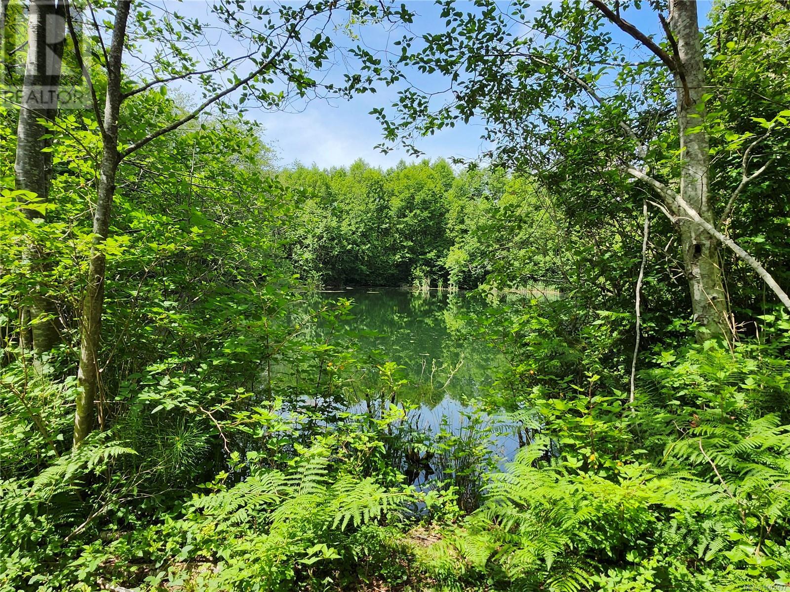 1075 Spider Lake Rd, Qualicum Beach, British Columbia  V9K 2L7 - Photo 16 - 1002997