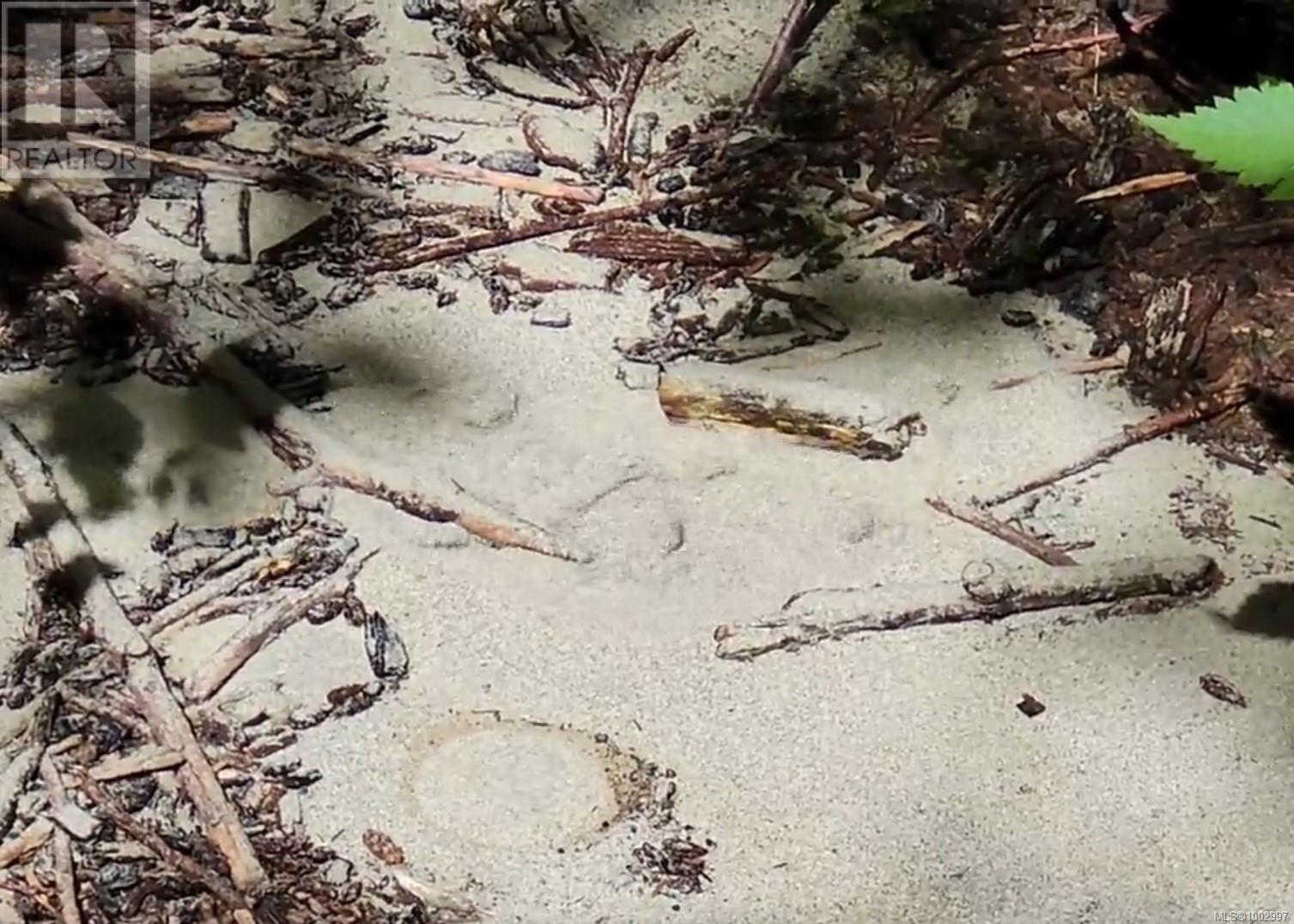 1075 Spider Lake Rd, Qualicum Beach, British Columbia  V9K 2L7 - Photo 24 - 1002997