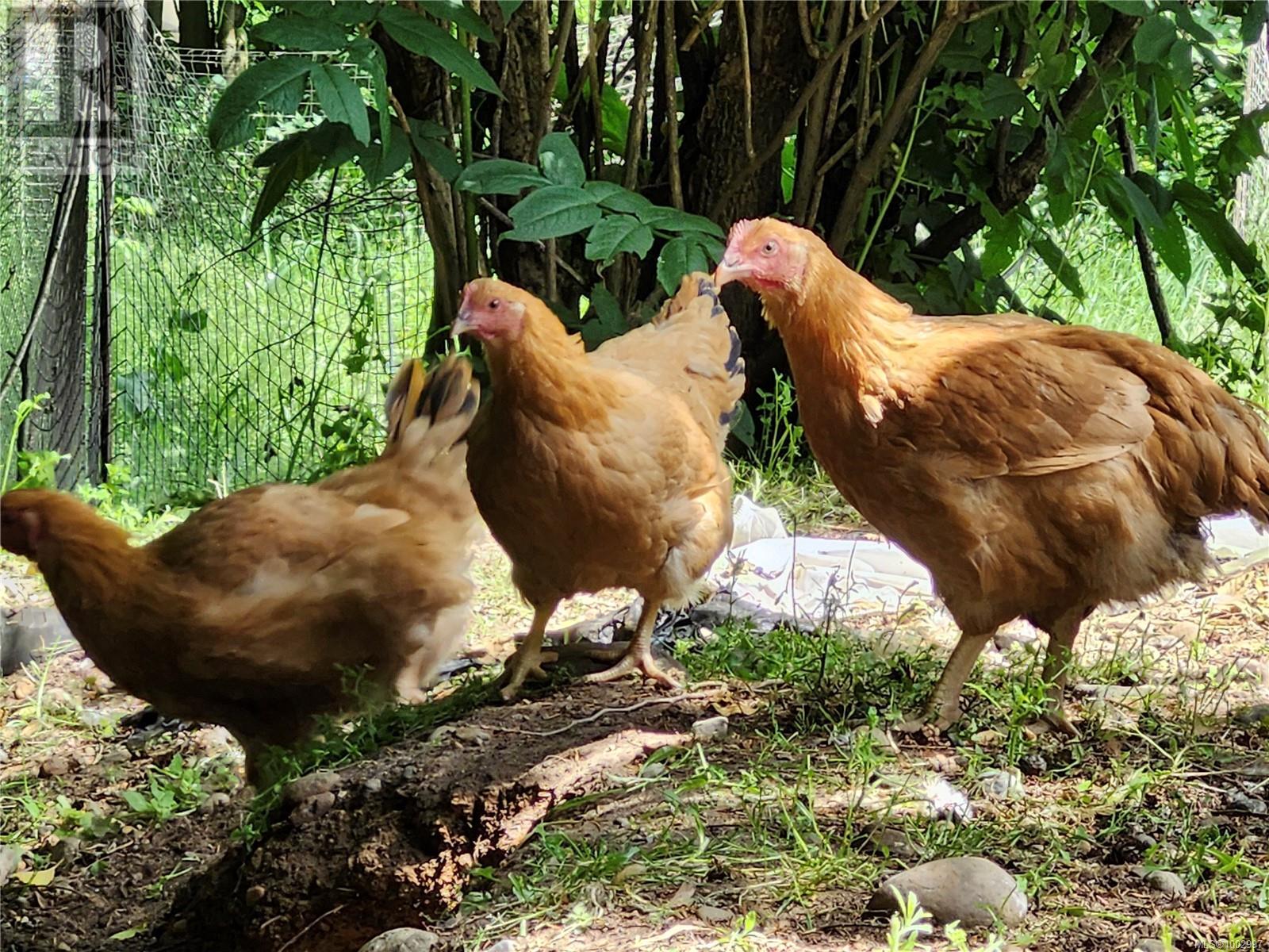 1075 Spider Lake Rd, Qualicum Beach, British Columbia  V9K 2L7 - Photo 26 - 1002997