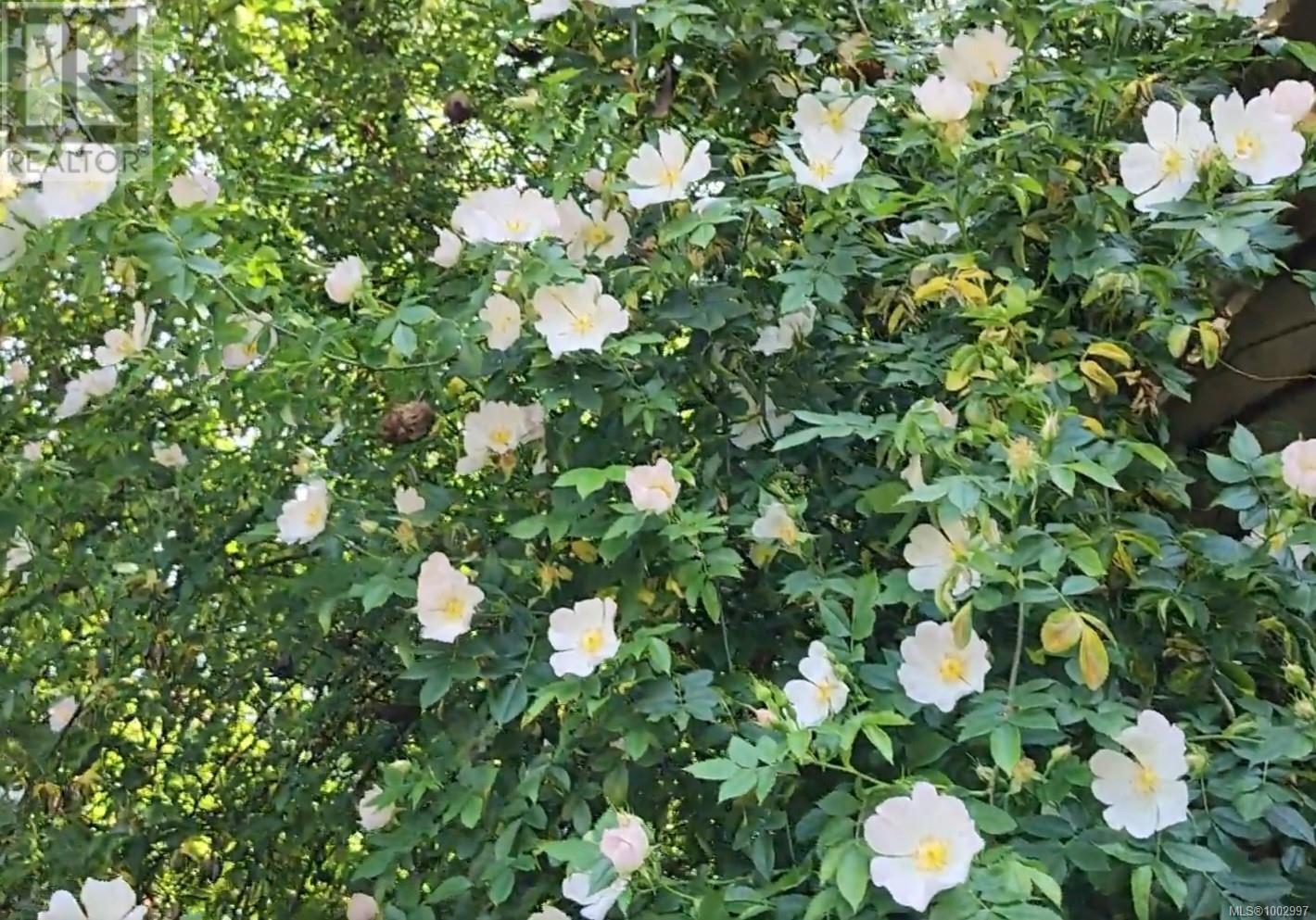 1075 Spider Lake Rd, Qualicum Beach, British Columbia  V9K 2L7 - Photo 27 - 1002997