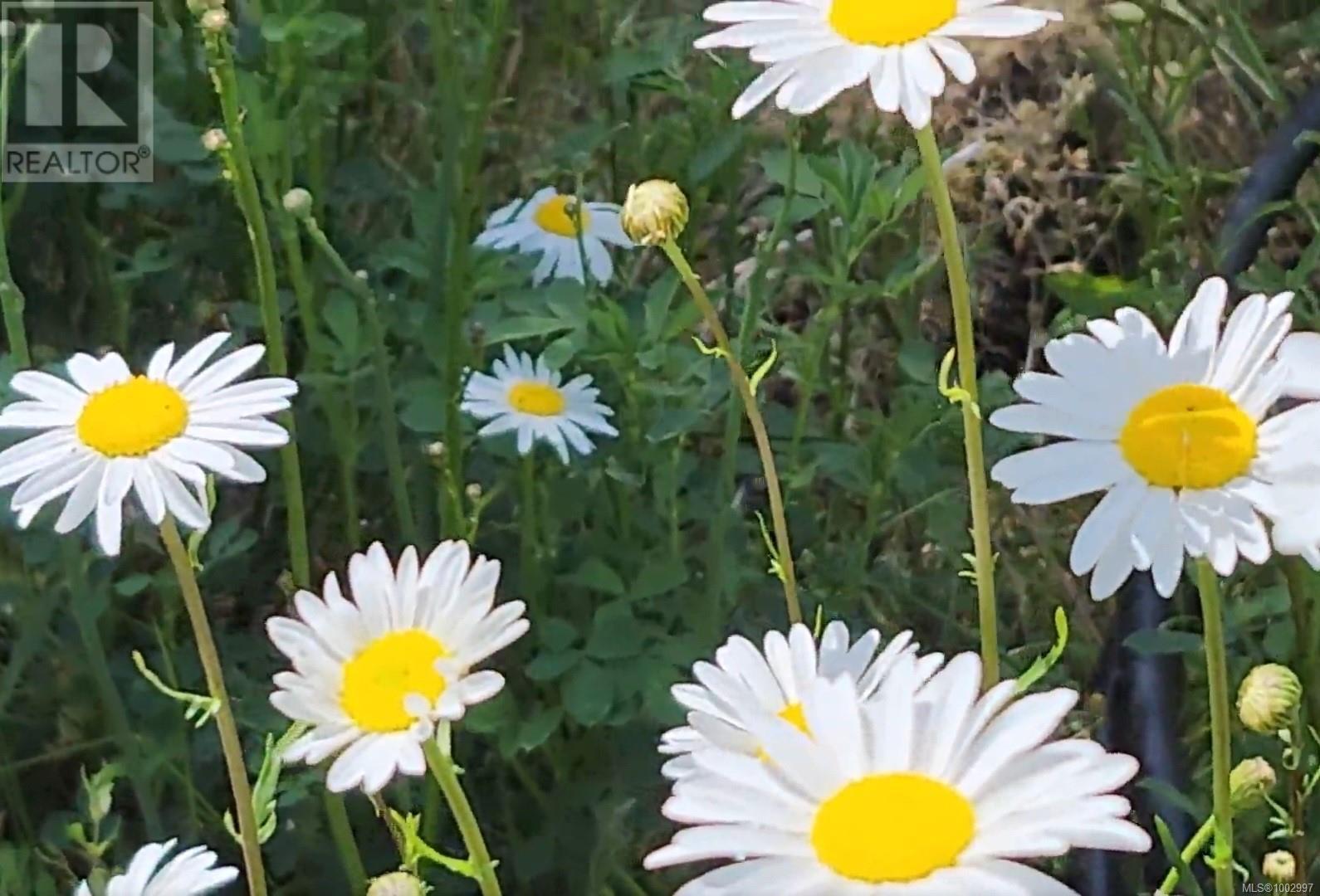 1075 Spider Lake Rd, Qualicum Beach, British Columbia  V9K 2L7 - Photo 29 - 1002997