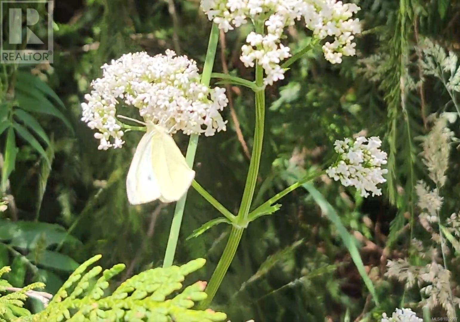 1075 Spider Lake Rd, Qualicum Beach, British Columbia  V9K 2L7 - Photo 30 - 1002997