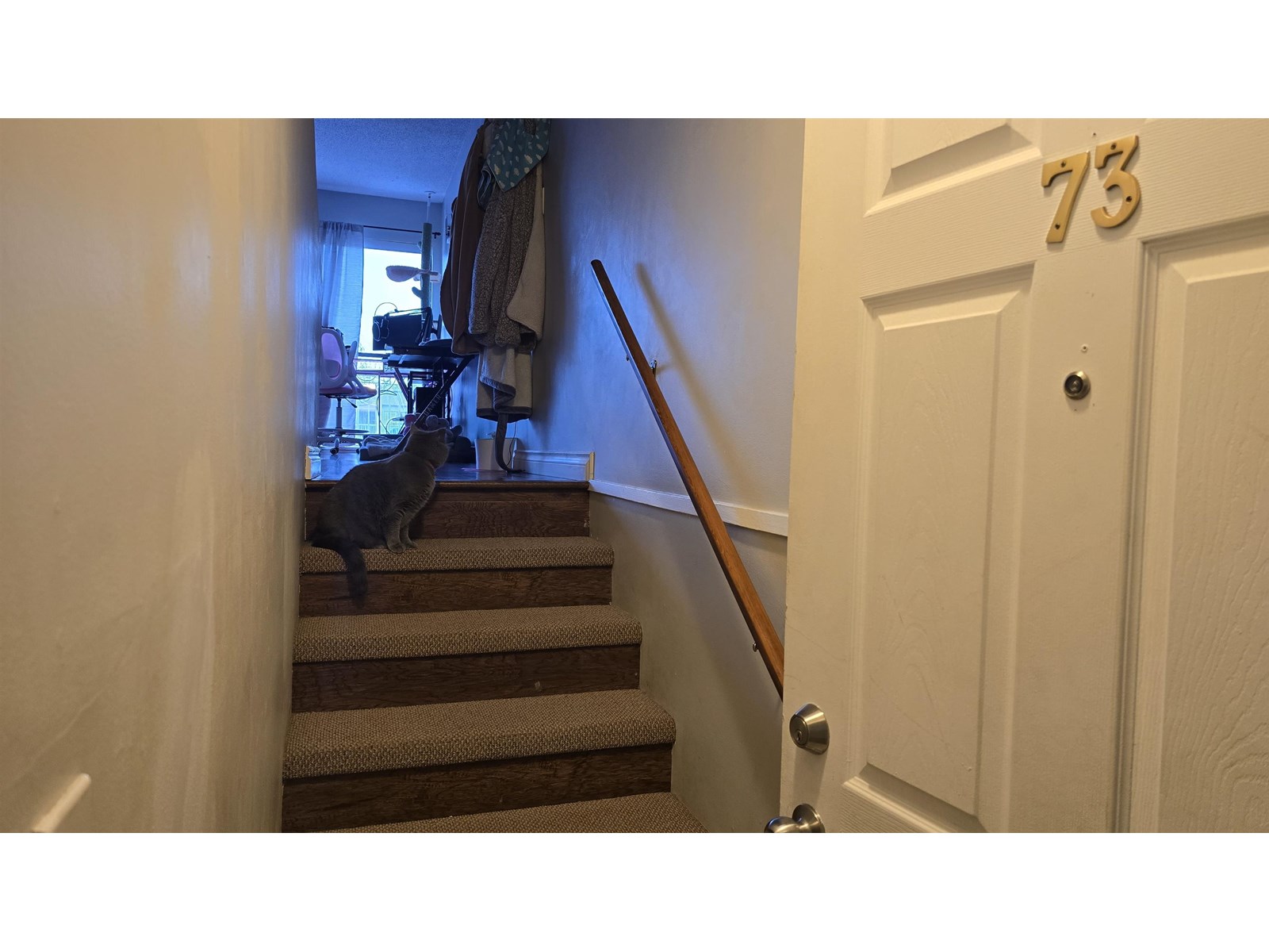 Property at 73 17712 60 AVENUE image 3