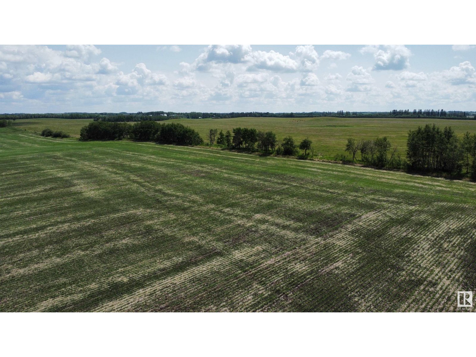 Nw 1 58 9 W4, Rural St. Paul County, Alberta  T0A 3A0 - Photo 9 - E4442285