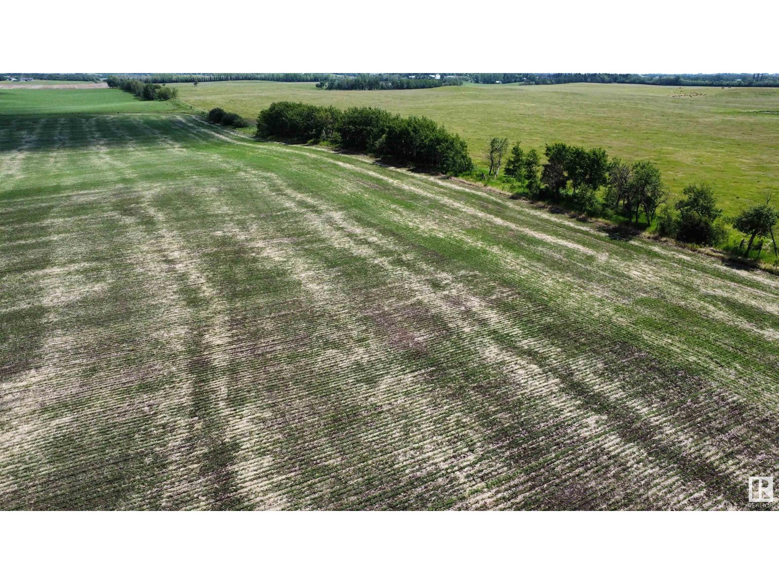 Nw 1 58 9 W4, Rural St. Paul County, Alberta  T0A 3A0 - Photo 5 - E4442285