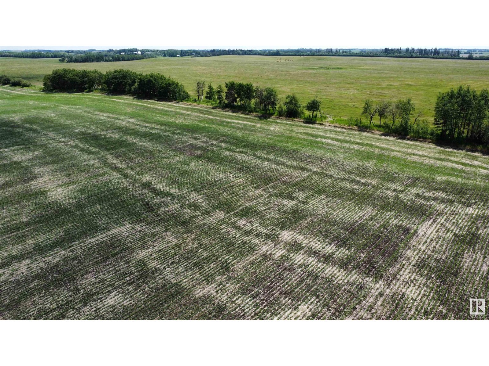 Nw 1 58 9 W4, Rural St. Paul County, Alberta  T0A 3A0 - Photo 7 - E4442285