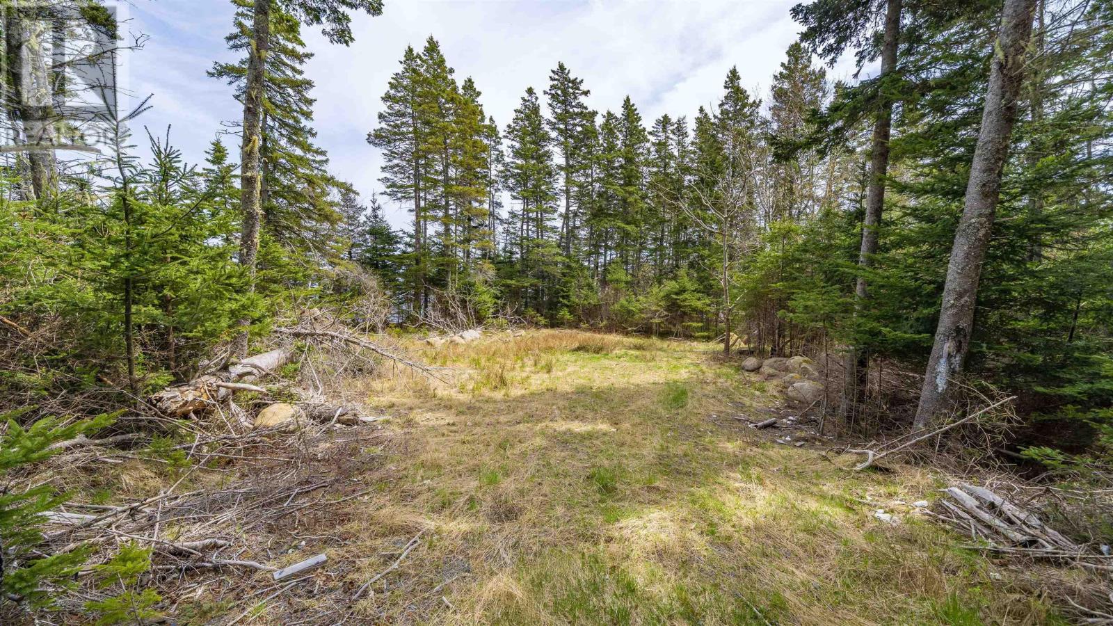 Lot 11-C 22 Peninsula Road, Feltzen South, Nova Scotia  B0J 2X0 - Photo 17 - 202510366