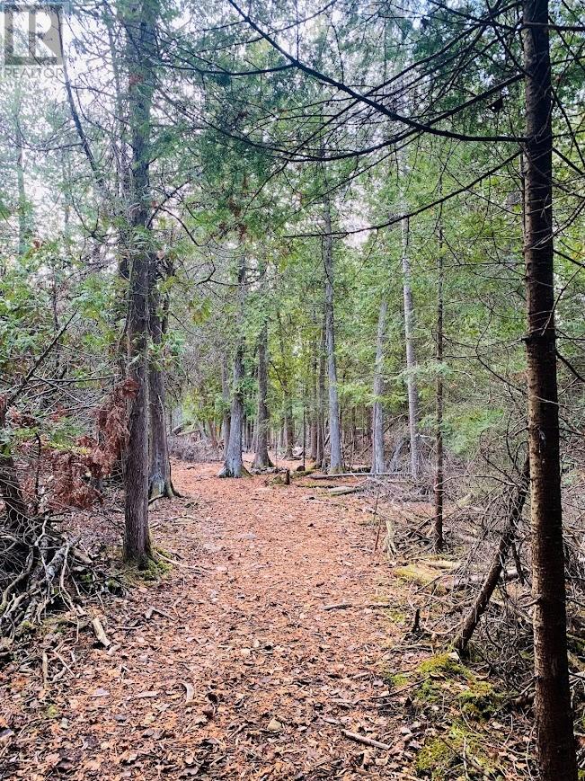 Pl7c1 Robinson Pebble Road, Silver Water, Ontario  P0P 1J0 - Photo 20 - 2122877