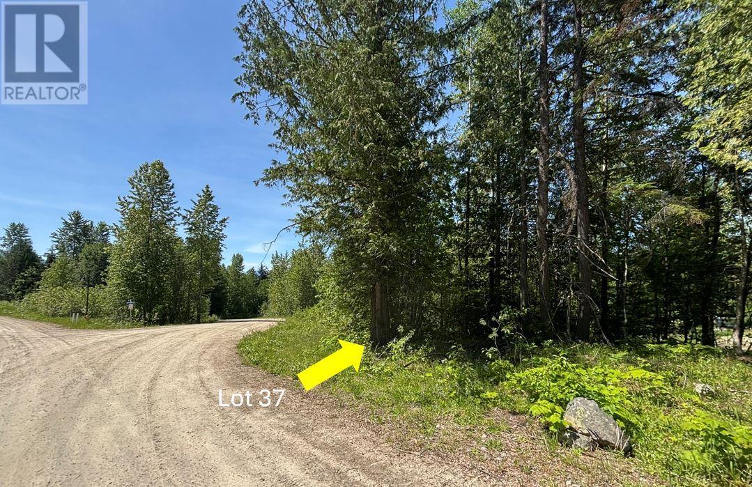 705 Boat Launch Way Lot# 37, Galena Bay, British Columbia  V0G 1R0 - Photo 11 - 10352342