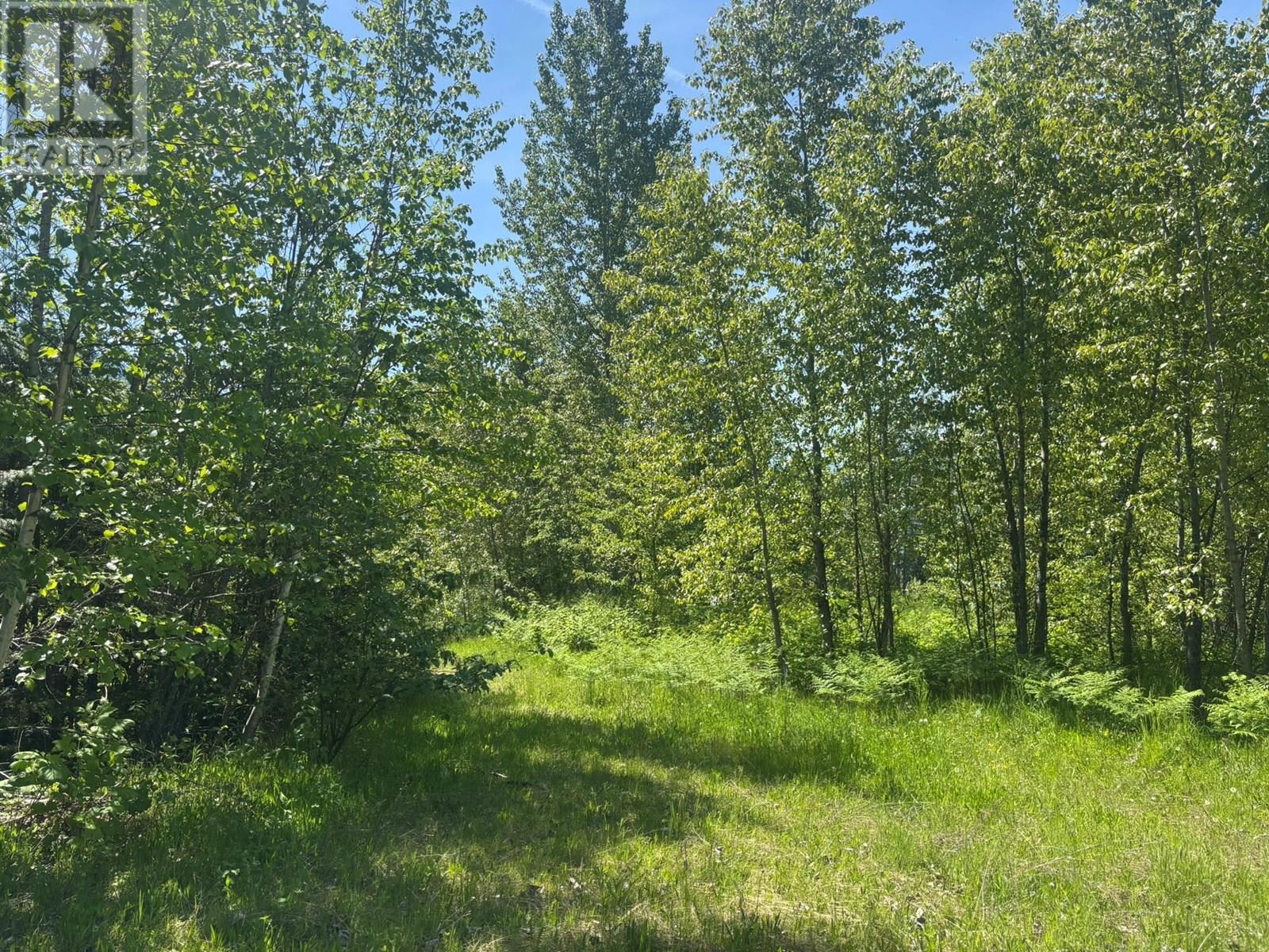 705 Boat Launch Way Lot# 37, Galena Bay, British Columbia  V0G 1R0 - Photo 12 - 10352342