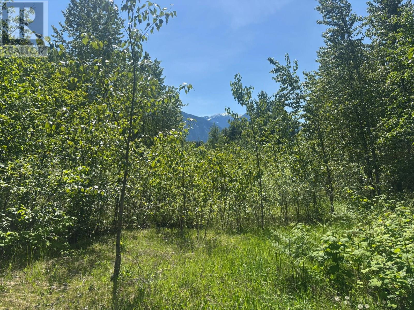 705 Boat Launch Way Lot# 37, Galena Bay, British Columbia  V0G 1R0 - Photo 13 - 10352342