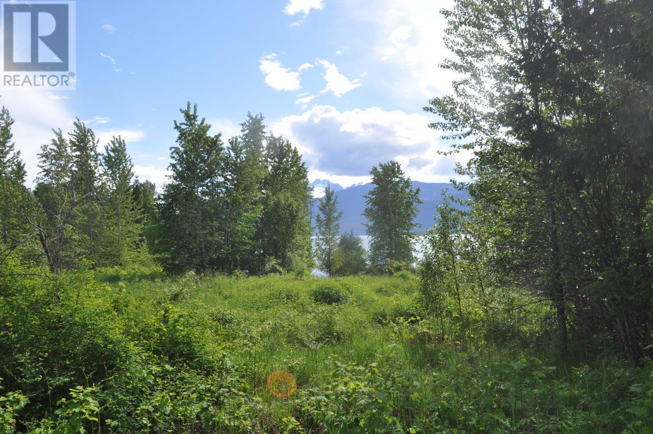 705 Boat Launch Way Lot# 37, Galena Bay, British Columbia  V0G 1R0 - Photo 14 - 10352342