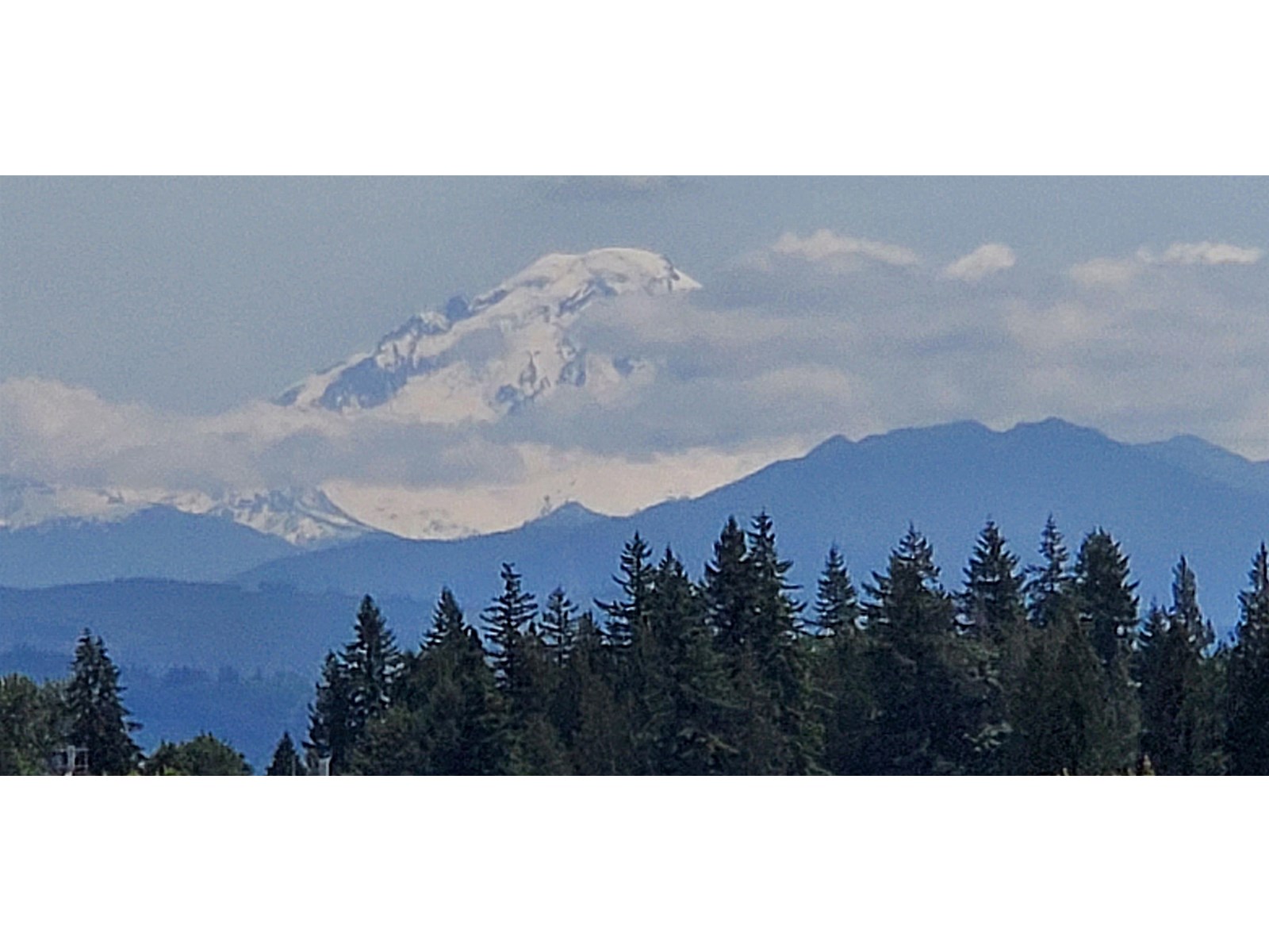 526 2860 Trethewey Street, Abbotsford, British Columbia  V2T 0G5 - Photo 28 - R3016321