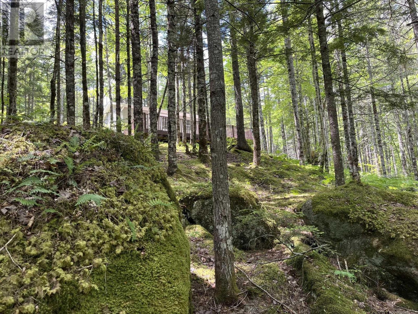 Lot 60 Pioneer Drive, Vaughan, Nova Scotia  B0N 1T0 - Photo 18 - 202510506