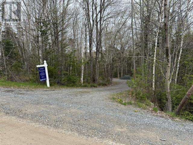 Lot 60 Pioneer Drive, Vaughan, Nova Scotia  B0N 1T0 - Photo 3 - 202510506