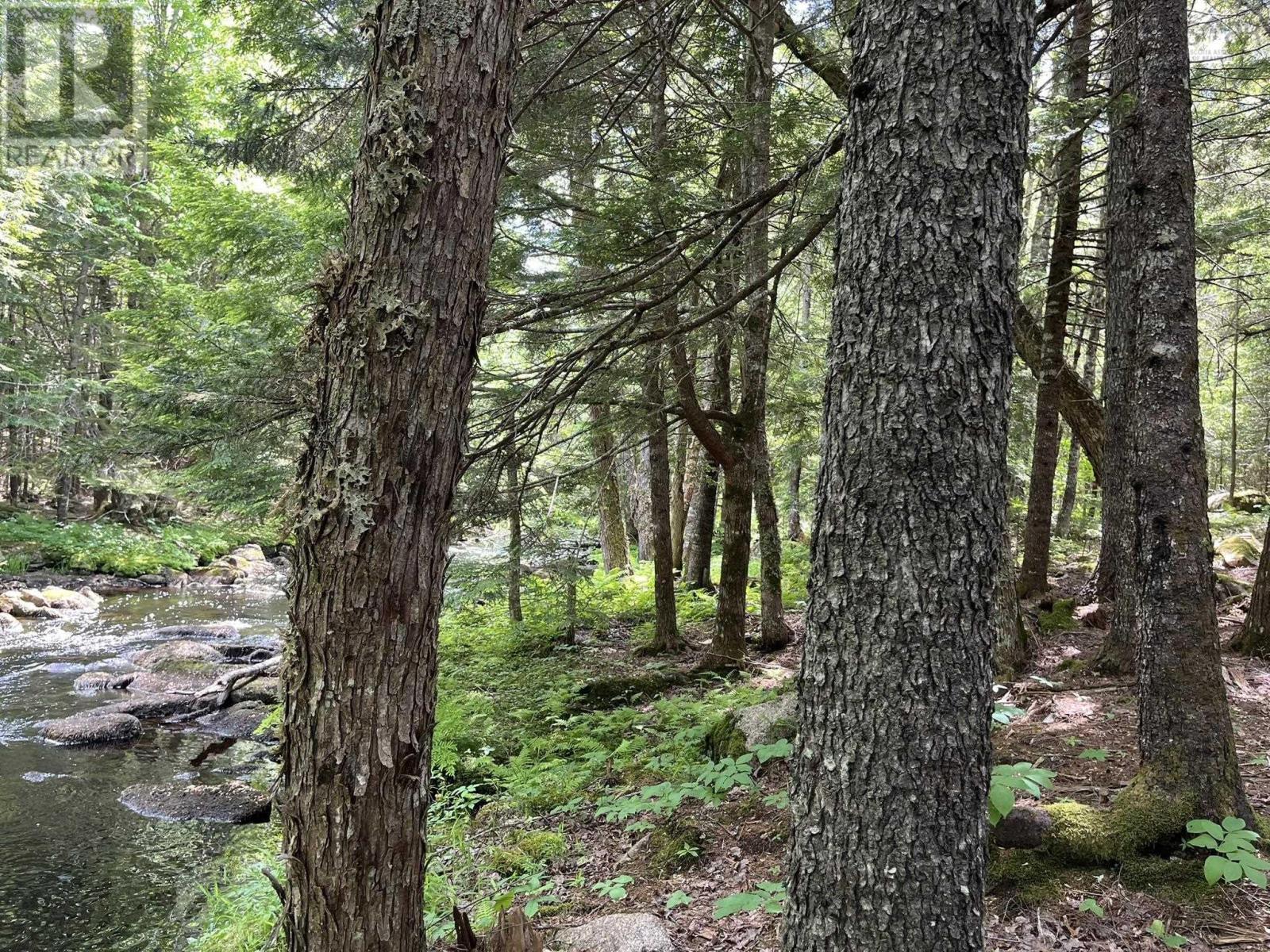 Lot 60 Pioneer Drive, Vaughan, Nova Scotia  B0N 1T0 - Photo 24 - 202510506