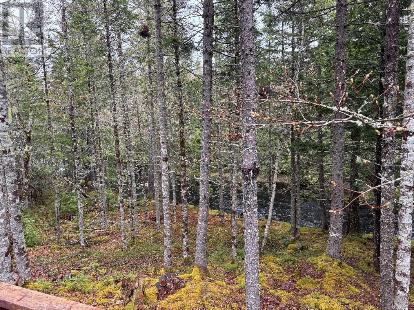 Lot 60 Pioneer Drive, Vaughan, Nova Scotia  B0N 1T0 - Photo 21 - 202510506