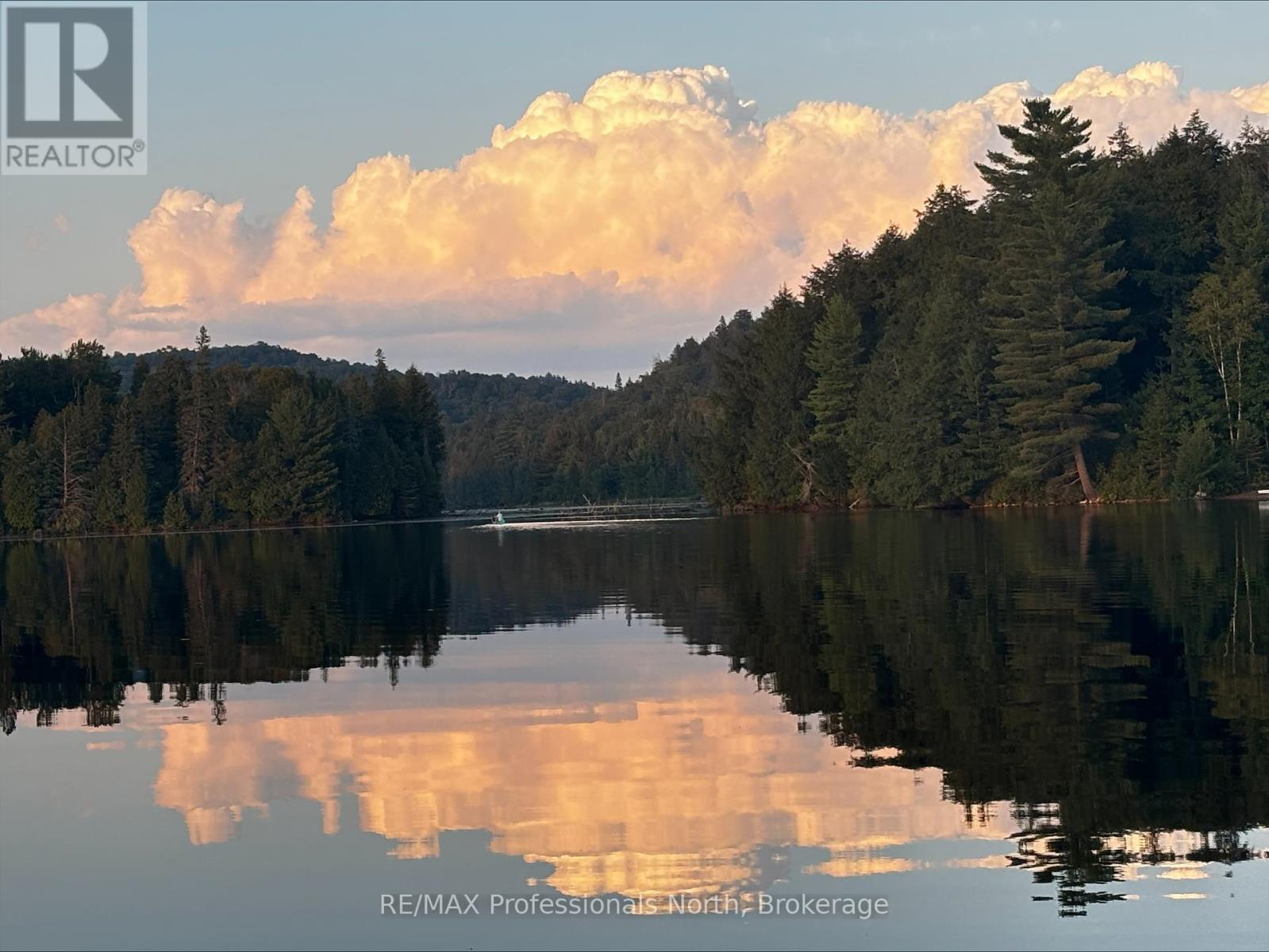 3 - 2901 Limberlost Road, Lake Of Bays, Ontario  P1H 2J6 - Photo 30 - X12076783