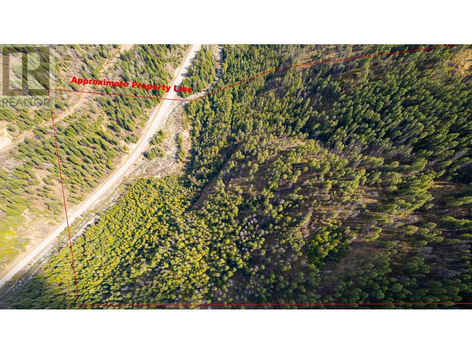 Dl 10612 3 Highway, Salmo, British Columbia  V0G 1Z0 - Photo 2 - 10344635