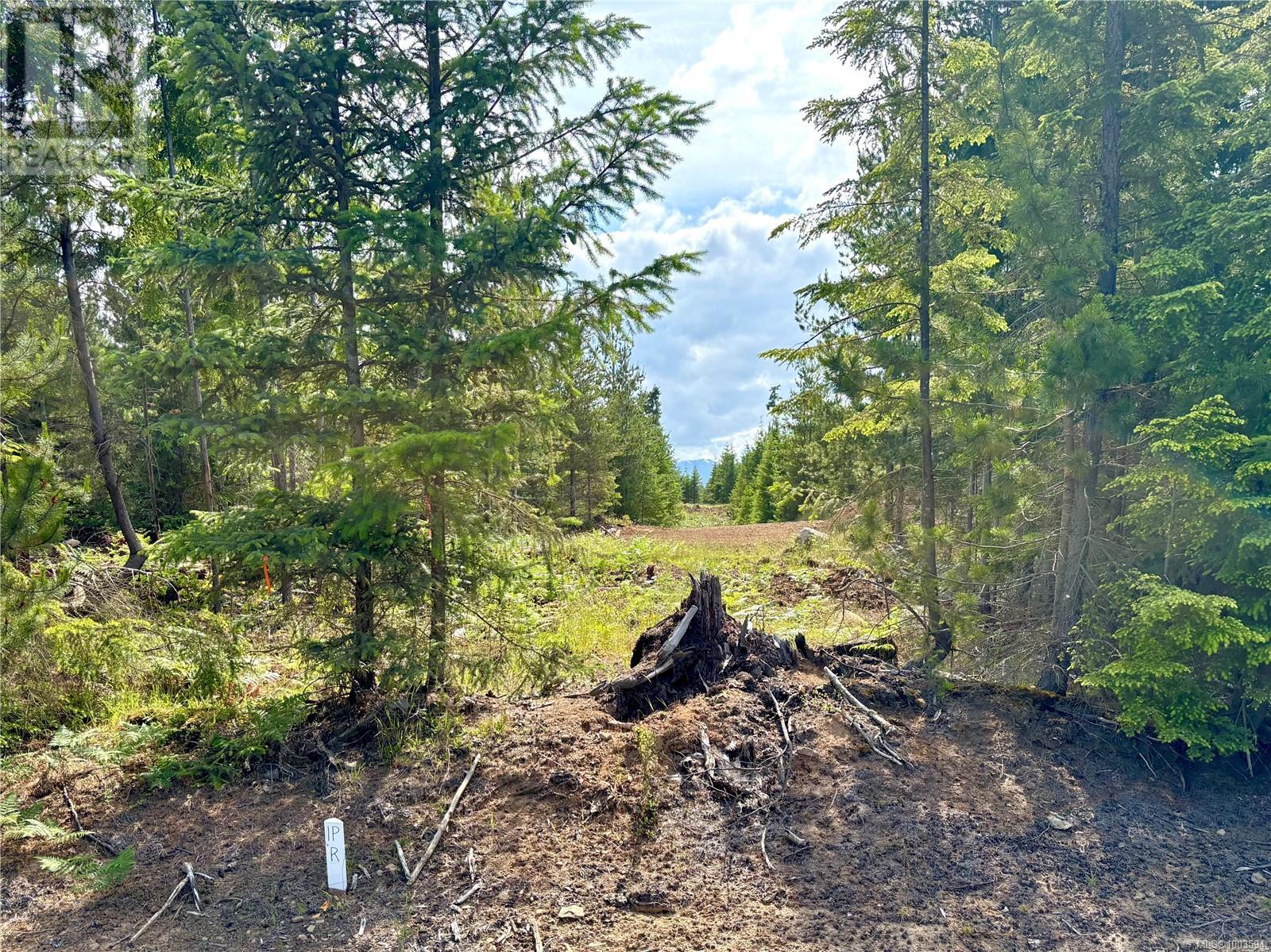 6800 Danes Rd, Denman Island, British Columbia  V0R 1T0 - Photo 36 - 1003594