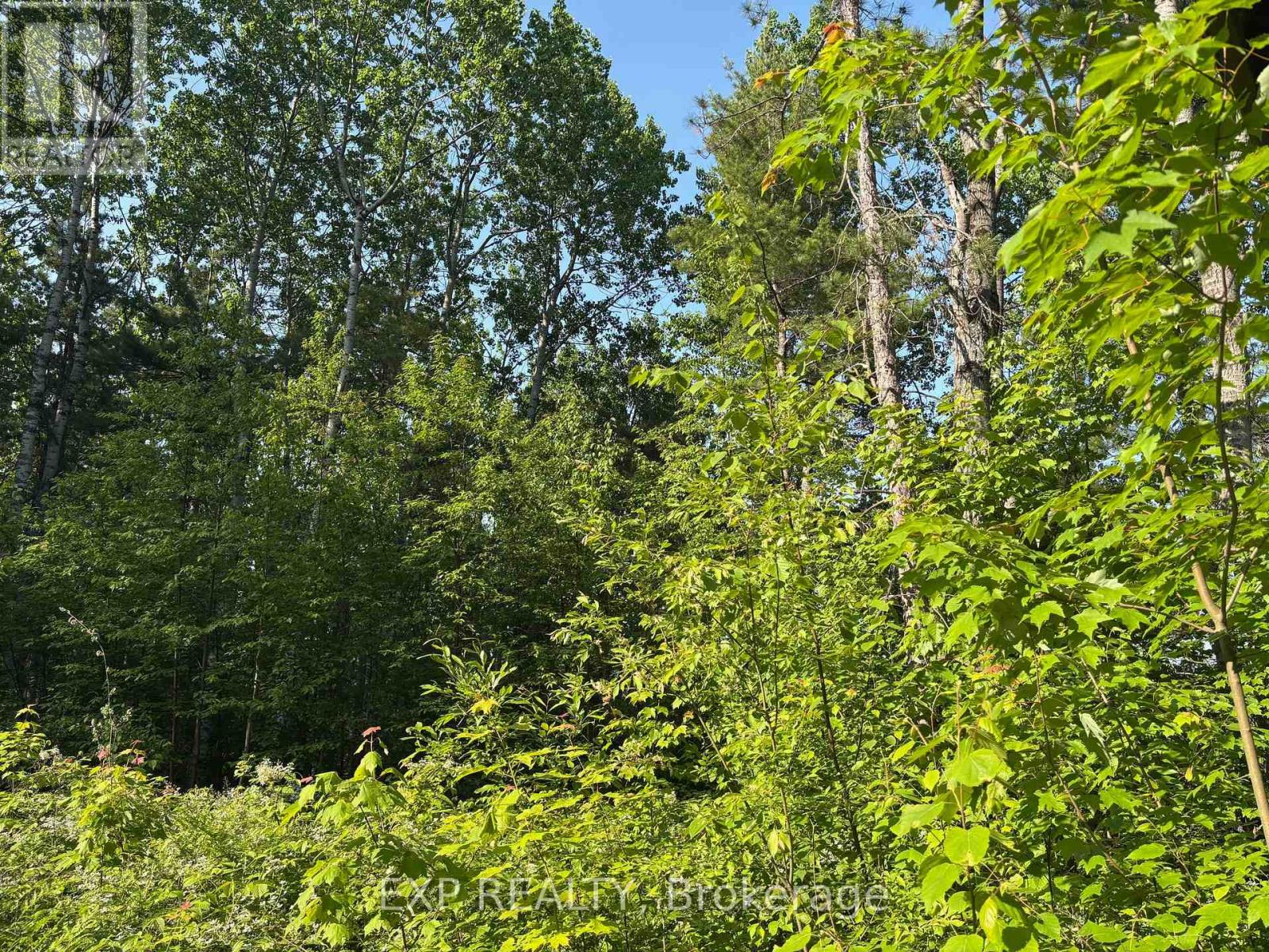 501 Arbor Vitae Road, Madawaska Valley, Ontario  K0J 1B0 - Photo 10 - X12225210