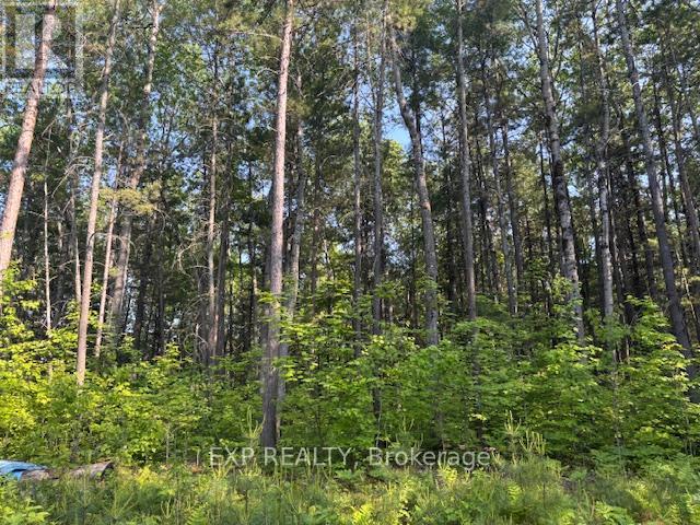 501 Arbor Vitae Road, Madawaska Valley, Ontario  K0J 1B0 - Photo 5 - X12225210