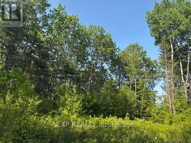 501 Arbor Vitae Road, Madawaska Valley, Ontario  K0J 1B0 - Photo 6 - X12225210