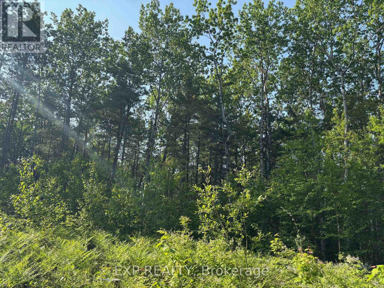 501 Arbor Vitae Road, Madawaska Valley, Ontario  K0J 1B0 - Photo 9 - X12225210