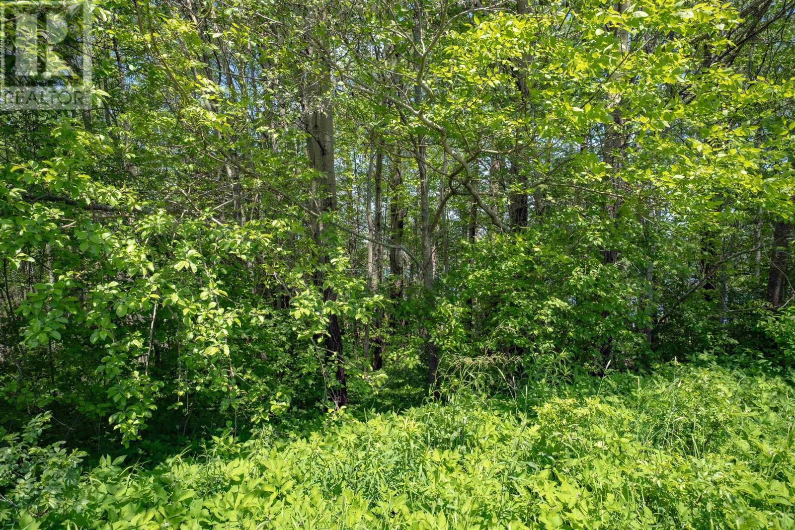 Prince Street, Guysborough, Nova Scotia  B0H 1N0 - Photo 16 - 202514794