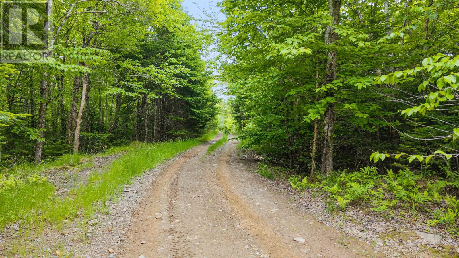 Country Harbour Road, Salmon River, Nova Scotia  B0H 1N0 - Photo 6 - 202514795