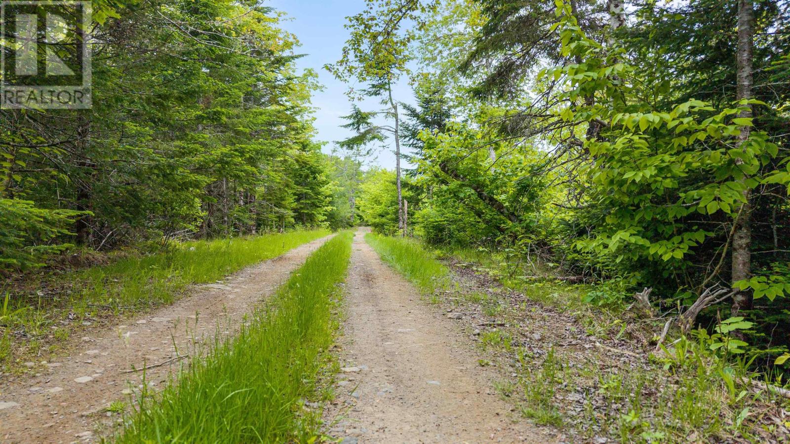 Country Harbour Road, Salmon River, Nova Scotia  B0H 1N0 - Photo 8 - 202514795