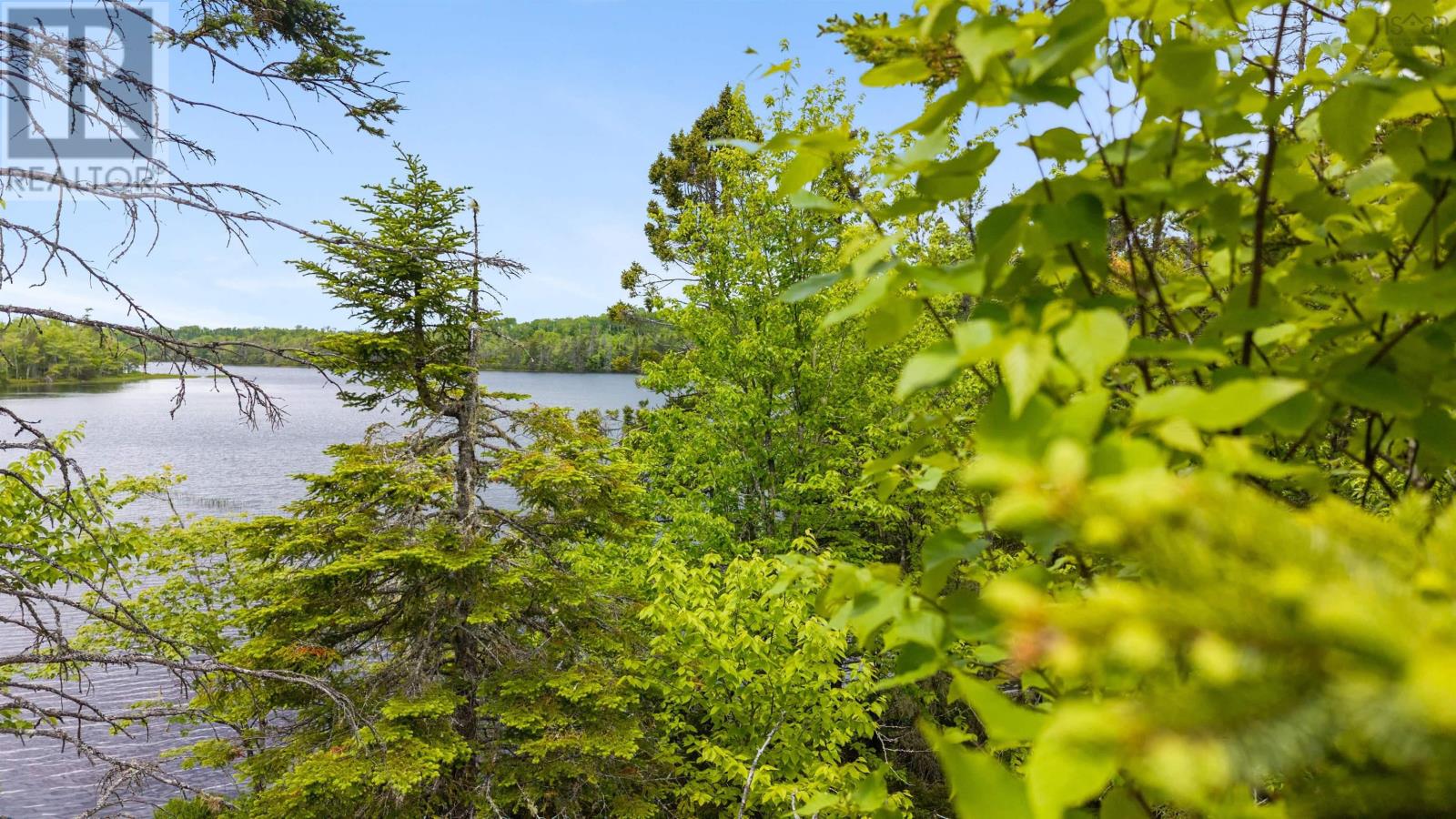 Country Harbour Road, Salmon River, Nova Scotia  B0H 1N0 - Photo 9 - 202514795