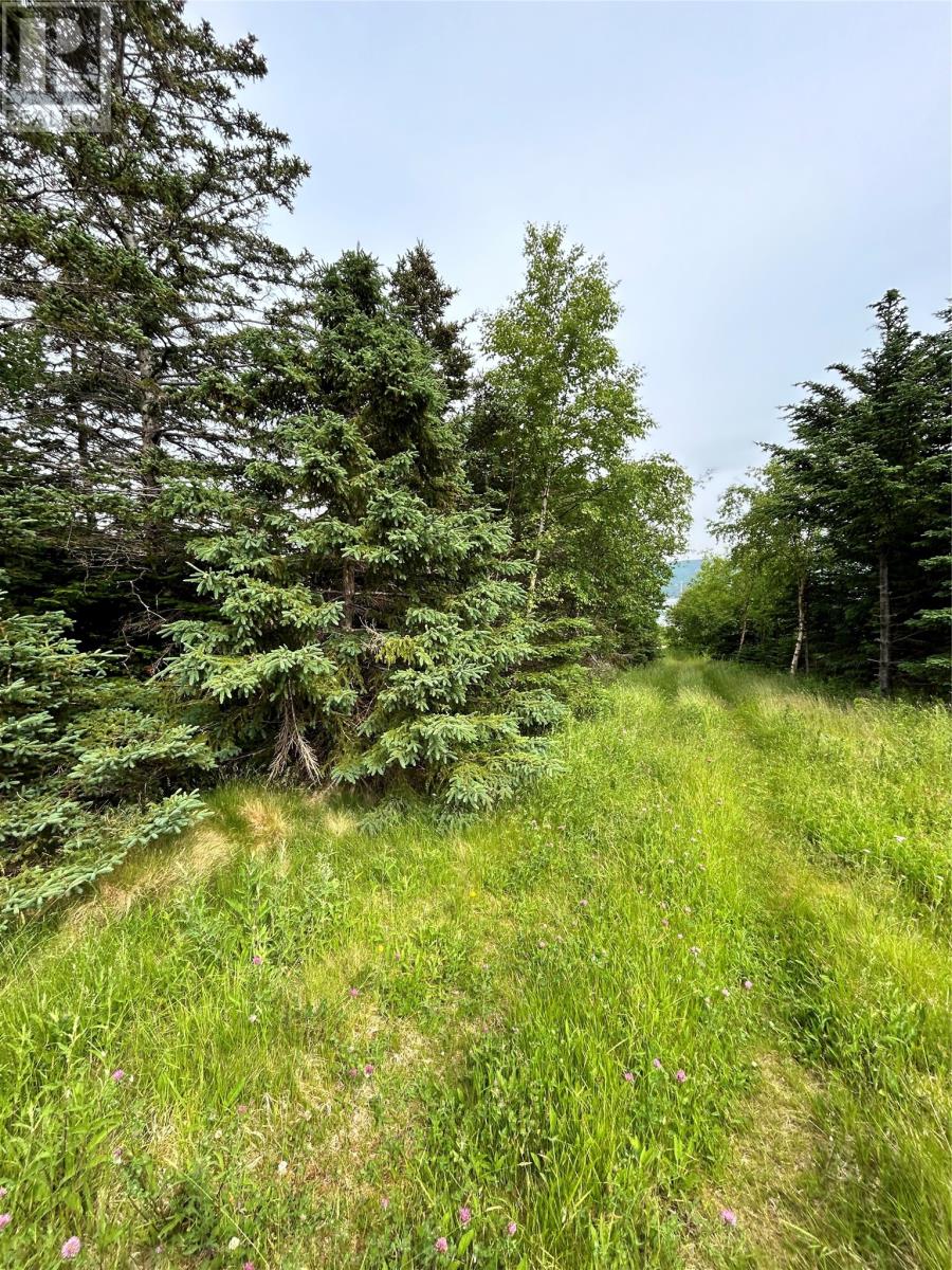 452 Main Road, Searston, Newfoundland & Labrador  A0N 1J0 - Photo 3 - 1286576