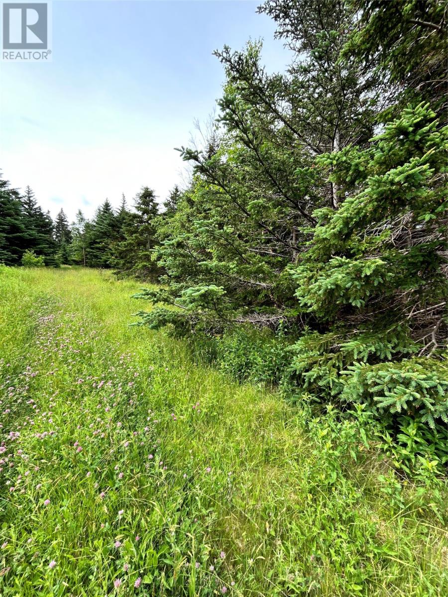 452 Main Road, Searston, Newfoundland & Labrador  A0N 1J0 - Photo 4 - 1286576