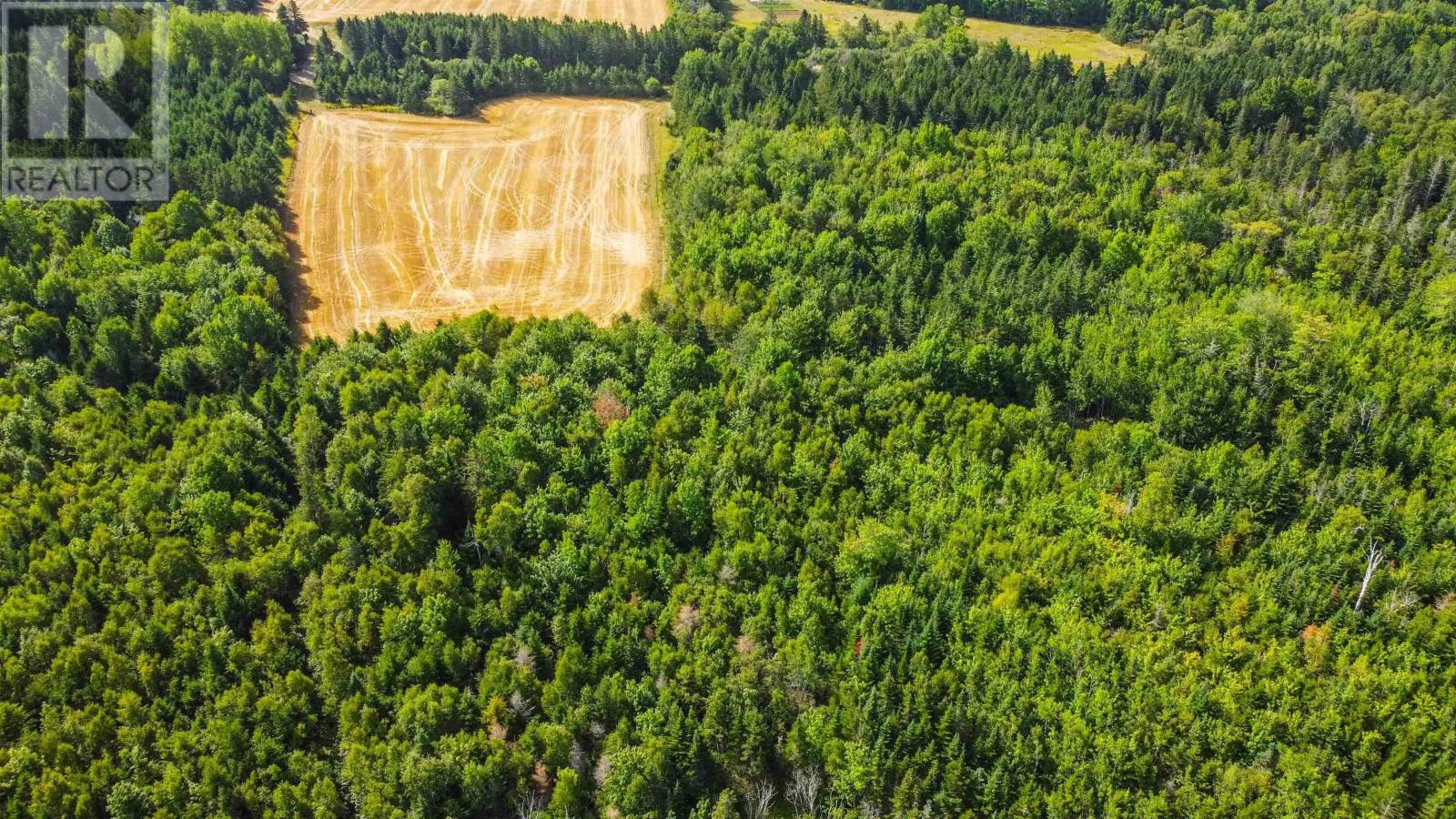 Al Bennett Road, Halls Harbour, Nova Scotia B0P 1J0 - Photo 11 - 202505198