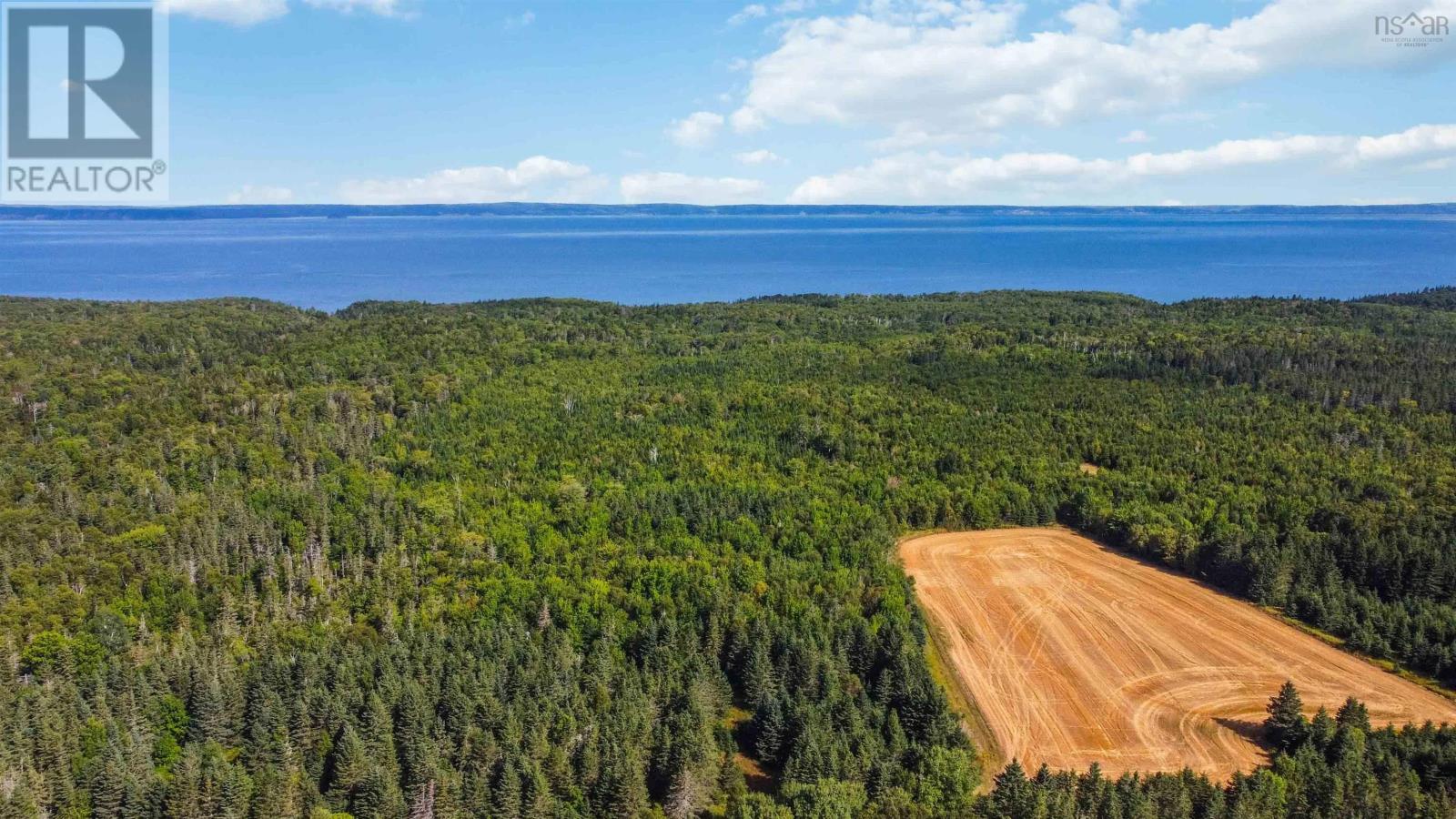 Al Bennett Road, Halls Harbour, Nova Scotia B0P 1J0 - Photo 6 - 202505198