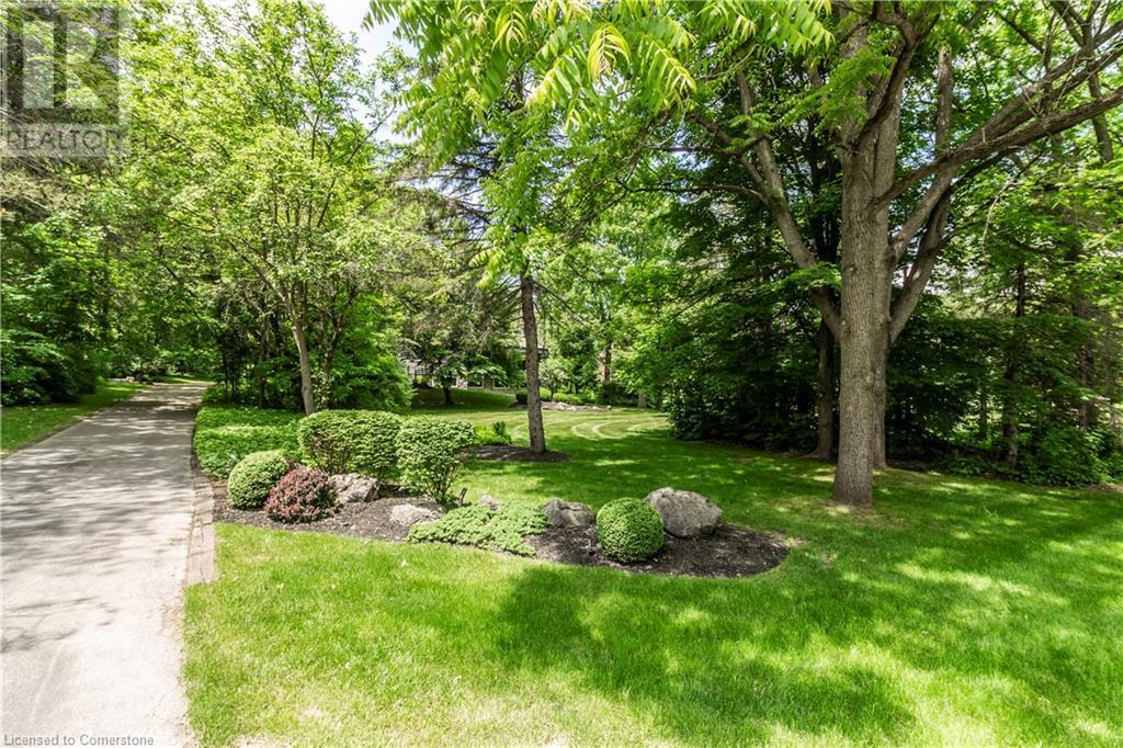 Property at 6353 MCNIVEN Road image 3