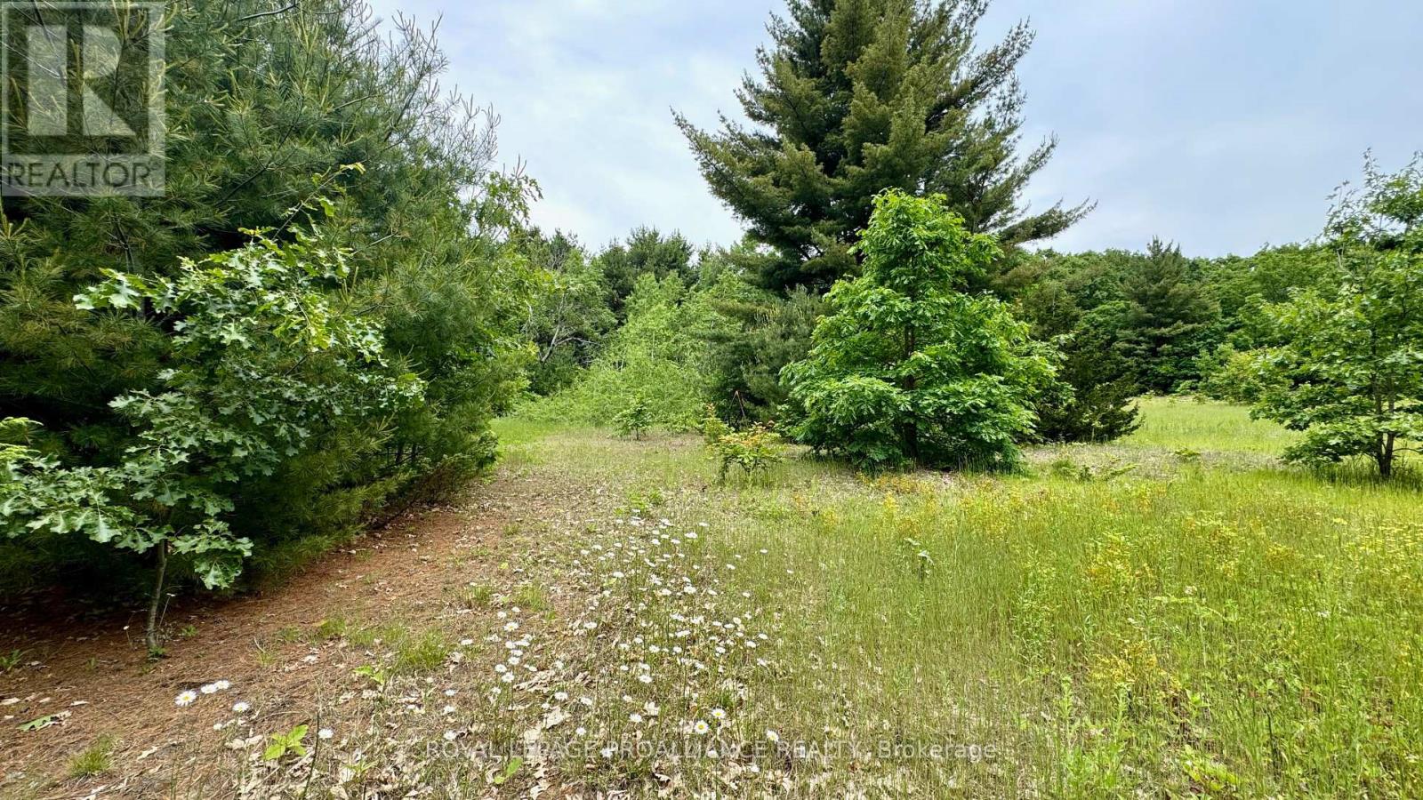 207 Middle Ridge Road, Brighton, Ontario  K0K 1H0 - Photo 7 - X12222766