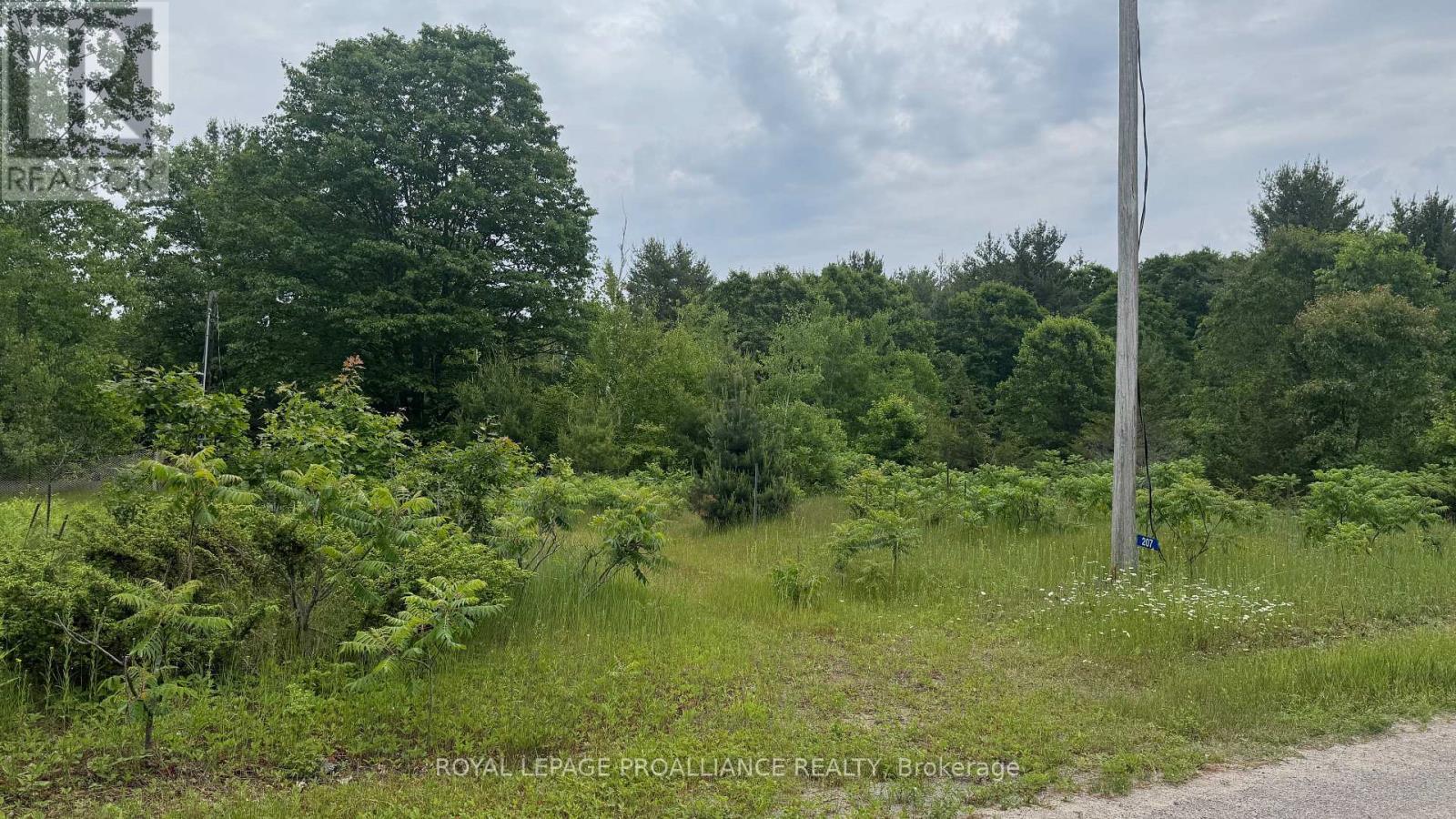 207 Middle Ridge Road, Brighton, Ontario  K0K 1H0 - Photo 6 - X12222766