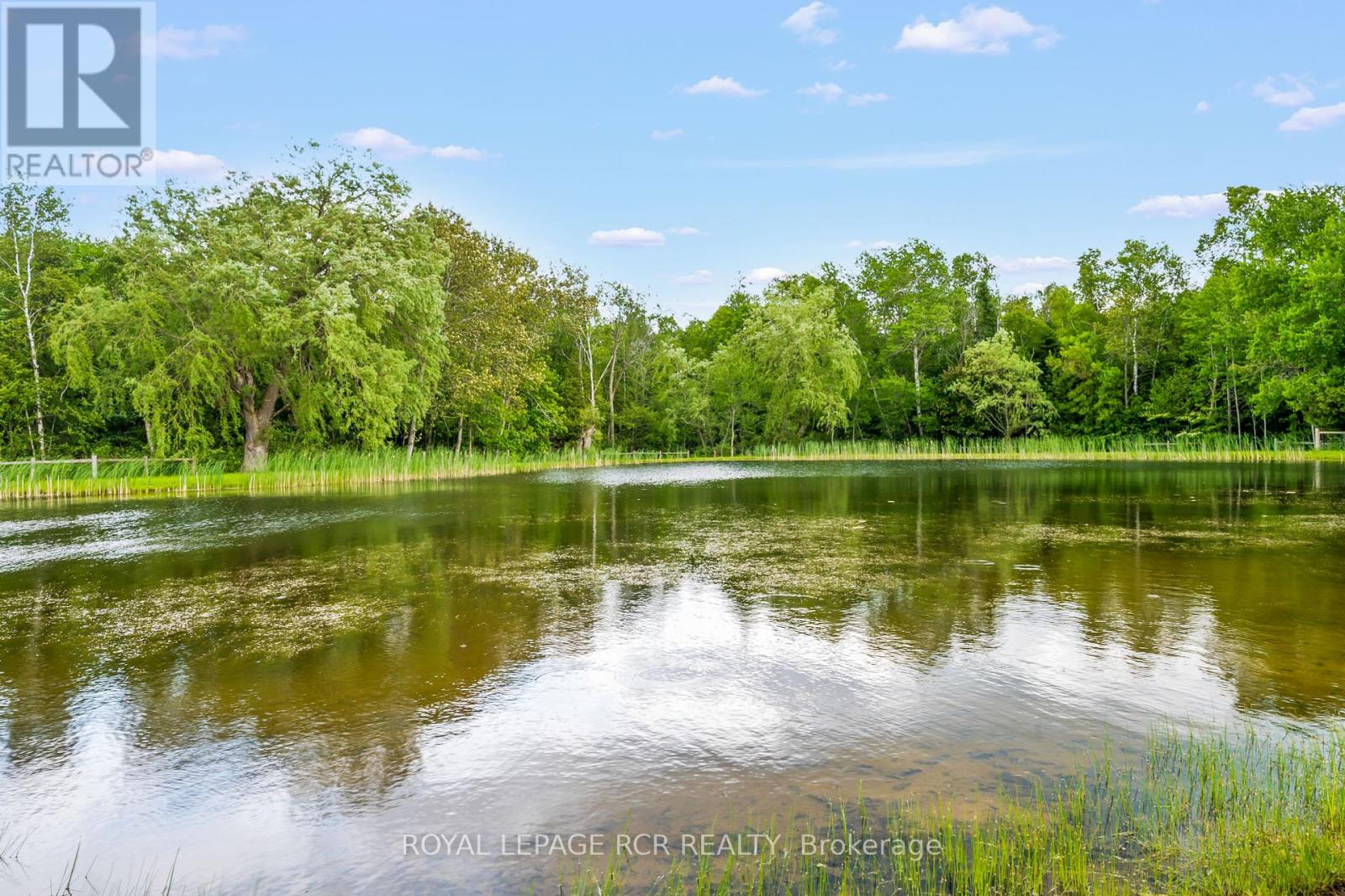 7 John Street, East Garafraxa, Ontario  L9W 7G4 - Photo 42 - X12212588