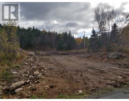 16 Marsh Road, Conception Harbor, Newfoundland & Labrador