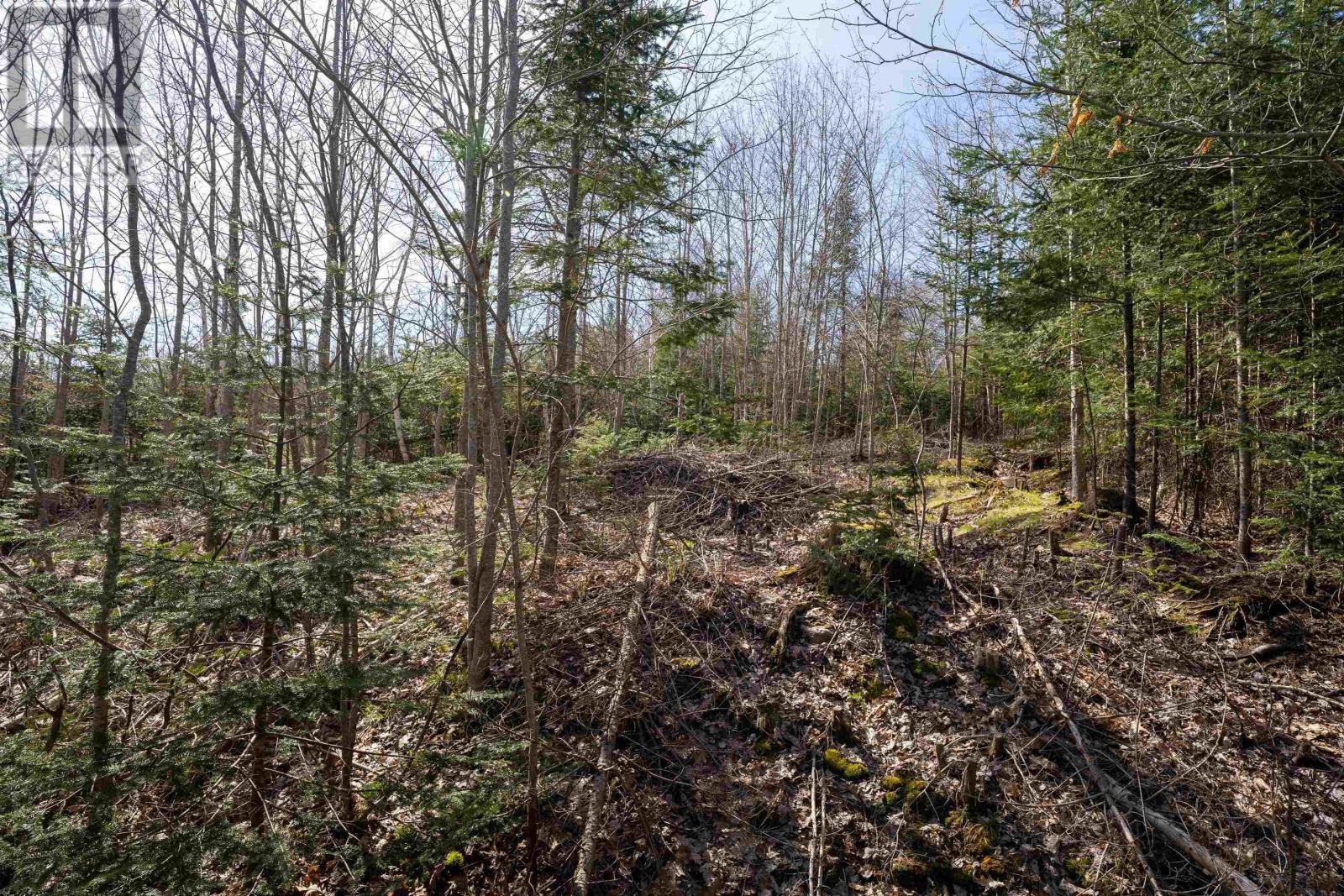 Lot 89-1 Riverside Road, Riverside, Nova Scotia  B0N 2J0 - Photo 5 - 202514802
