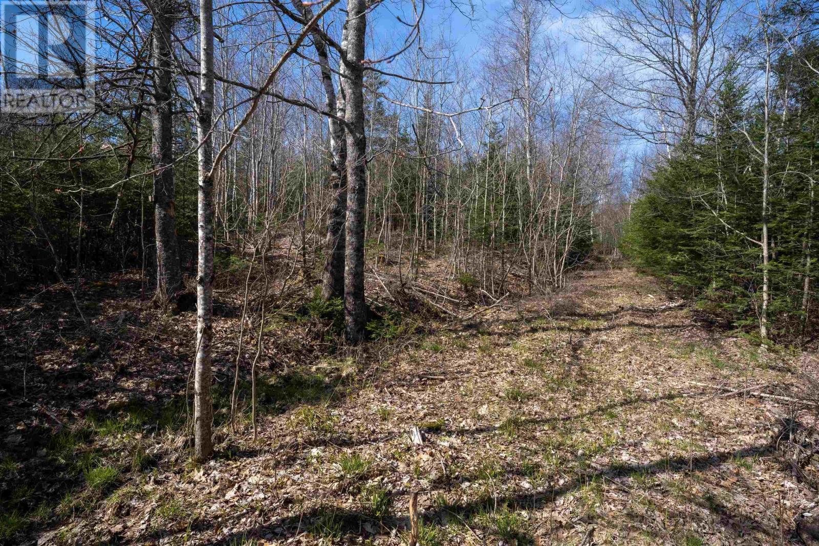 Lot 89-1 Riverside Road, Riverside, Nova Scotia  B0N 2J0 - Photo 4 - 202514802