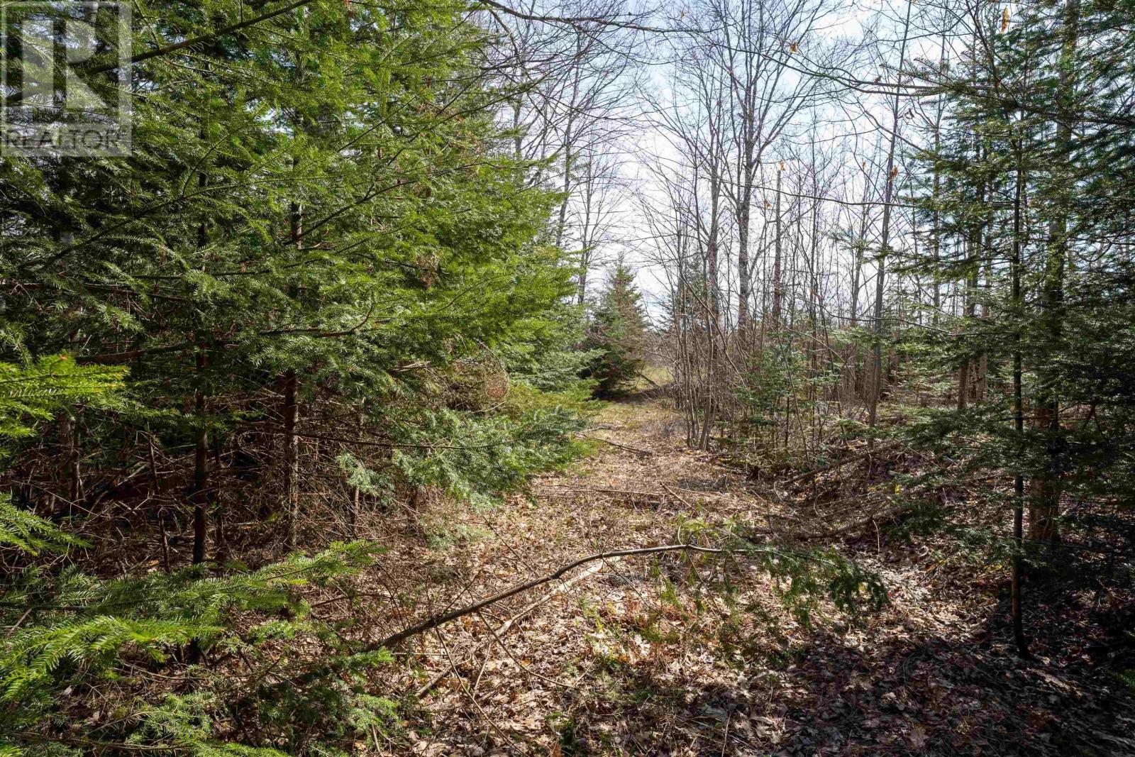Lot 89-1 Riverside Road, Riverside, Nova Scotia  B0N 2J0 - Photo 2 - 202514802