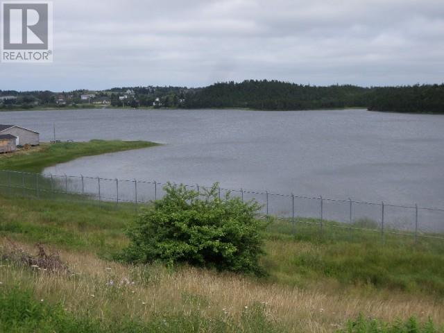 Lot 1 Junction Pond Unit#lot 1, Whitbourne, Newfoundland & Labrador  A0B 3K0 - Photo 5 - 1286606